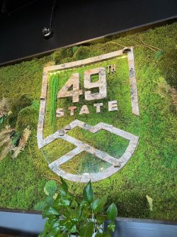 alyeska - 82.jpeg alyeska - 82.jpeg