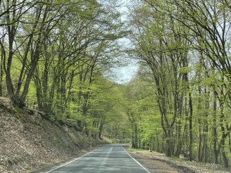 IMG_2290.JPG IMG_2290.JPG