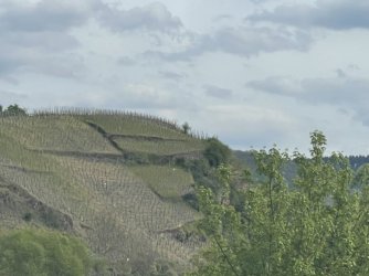 IMG_2305.JPG IMG_2305.JPG