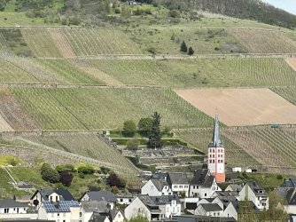 IMG_2310.JPG IMG_2310.JPG