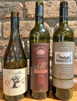 IMG_8376.jpeg IMG_8376.jpeg