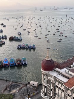 IMG_3001.jpeg IMG_3001.jpeg