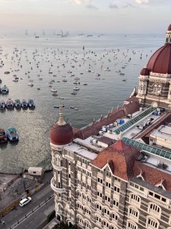 IMG_3003.jpeg IMG_3003.jpeg