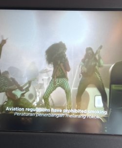 IMG_2981.jpeg IMG_2981.jpeg