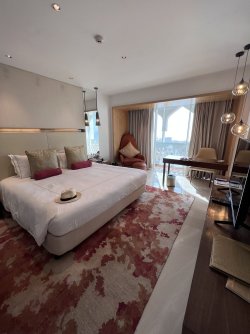 IMG_3017.jpeg IMG_3017.jpeg