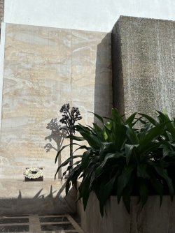 IMG_3011.jpeg IMG_3011.jpeg