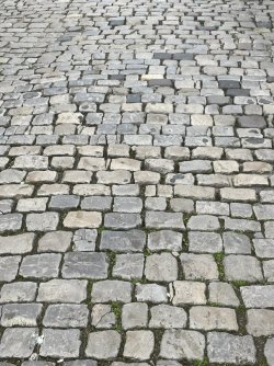 D246AA54-4BAA-4D79-80AD-F9E3D17F2330.jpeg D246AA54-4BAA-4D79-80AD-F9E3D17F2330.jpeg