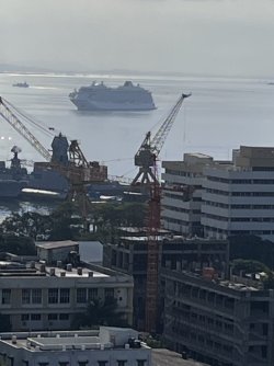 IMG_3025.jpeg IMG_3025.jpeg