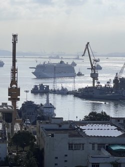 IMG_3026.jpeg IMG_3026.jpeg