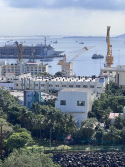 IMG_3028.jpeg IMG_3028.jpeg