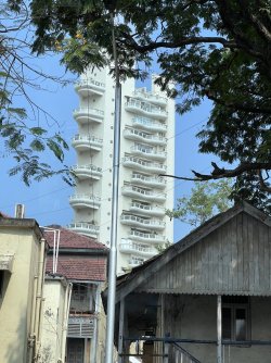 IMG_3096.jpeg IMG_3096.jpeg