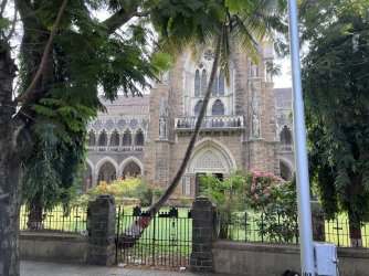 IMG_3100.jpeg IMG_3100.jpeg