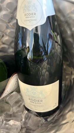 F3FB3CD2-7A5F-429A-B919-8165427C32F7.jpeg F3FB3CD2-7A5F-429A-B919-8165427C32F7.jpeg