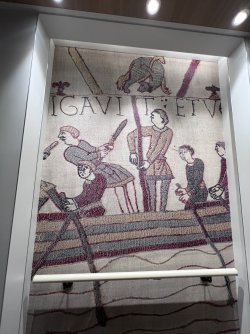 IMG_3144.jpeg IMG_3144.jpeg