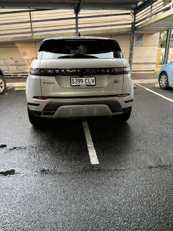 IMG_3837.JPG IMG_3837.JPG