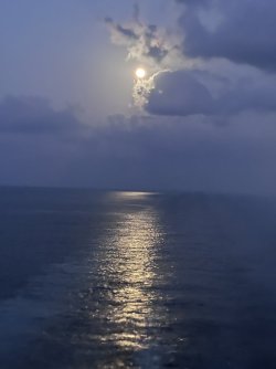 IMG_3177.jpeg IMG_3177.jpeg