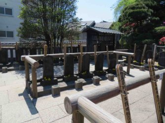 jpeg-optimizer_IMG_0124(4).JPG jpeg-optimizer_IMG_0124(4).JPG