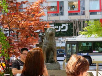 jpeg-optimizer_IMG_0135(2).JPG jpeg-optimizer_IMG_0135(2).JPG