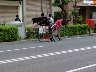 jpeg-optimizer_IMG_0204(1).JPG jpeg-optimizer_IMG_0204(1).JPG