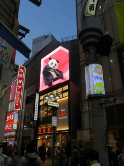 jpeg-optimizer_IMG_0234(2).JPG jpeg-optimizer_IMG_0234(2).JPG