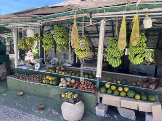 IMG_3384.jpeg IMG_3384.jpeg