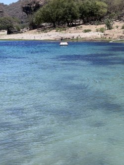 IMG_3386.jpeg IMG_3386.jpeg