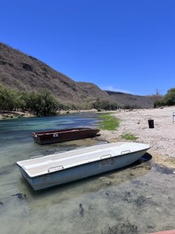 IMG_3387.jpeg IMG_3387.jpeg