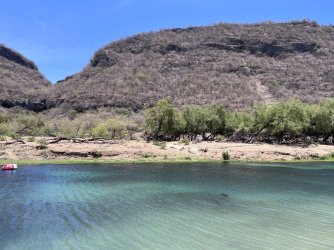 IMG_3389.jpeg IMG_3389.jpeg