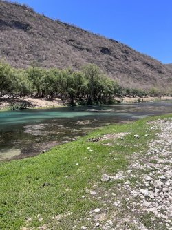 IMG_3390.jpeg IMG_3390.jpeg