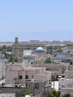 IMG_3411.jpeg IMG_3411.jpeg