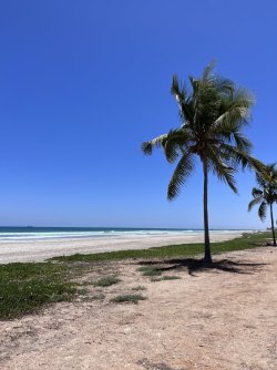 IMG_3413.jpeg IMG_3413.jpeg