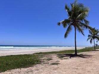 IMG_3414.jpeg IMG_3414.jpeg