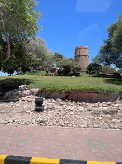 IMG_3420.jpeg IMG_3420.jpeg