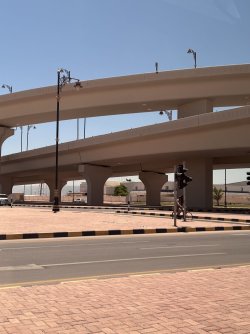 IMG_3421.jpeg IMG_3421.jpeg