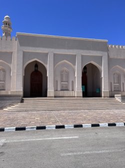 IMG_3423.jpeg IMG_3423.jpeg