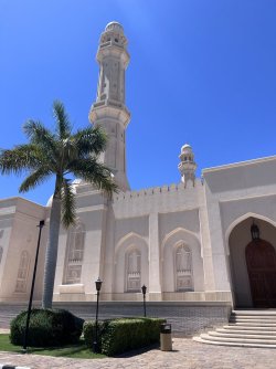 IMG_3424.jpeg IMG_3424.jpeg