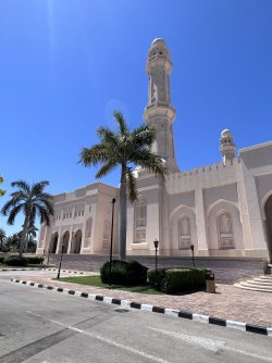 IMG_3425.jpeg IMG_3425.jpeg