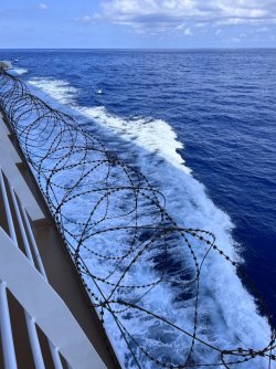 IMG_3447.jpeg IMG_3447.jpeg