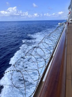 IMG_3448.jpeg IMG_3448.jpeg