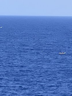 IMG_3452.jpeg IMG_3452.jpeg