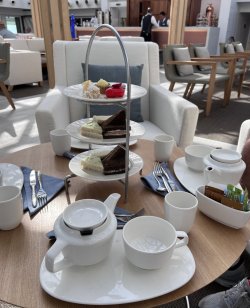 IMG_3463.jpeg IMG_3463.jpeg