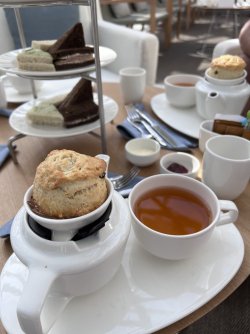 IMG_3464.jpeg IMG_3464.jpeg