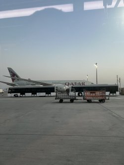 IMG_6791.jpeg IMG_6791.jpeg
