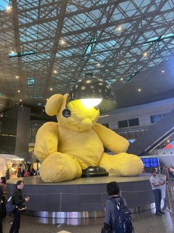 IMG_6792.jpeg IMG_6792.jpeg