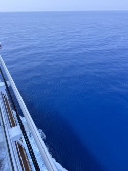 IMG_3497.jpeg IMG_3497.jpeg