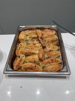 IMG_3489.jpeg IMG_3489.jpeg