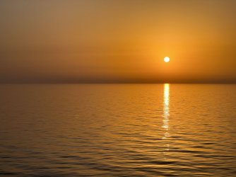 IMG_3499.jpeg IMG_3499.jpeg