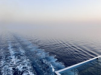 IMG_3502.jpeg IMG_3502.jpeg