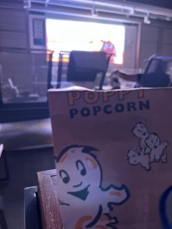 IMG_3503.jpeg IMG_3503.jpeg