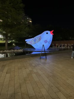 IMG_9689.jpeg IMG_9689.jpeg